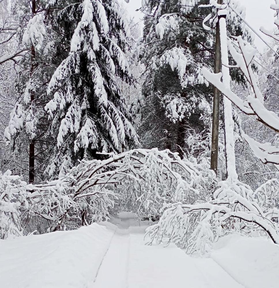 Photograph by Ведерникова Анна Андреевна