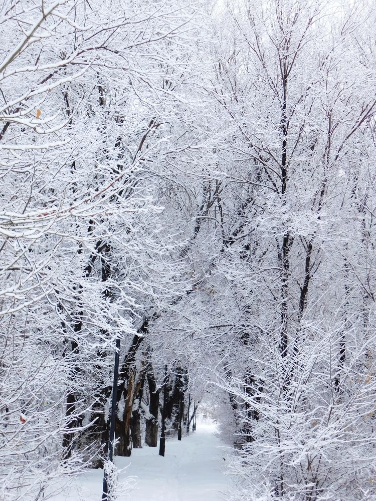 Photograph by Сергей Чеченов