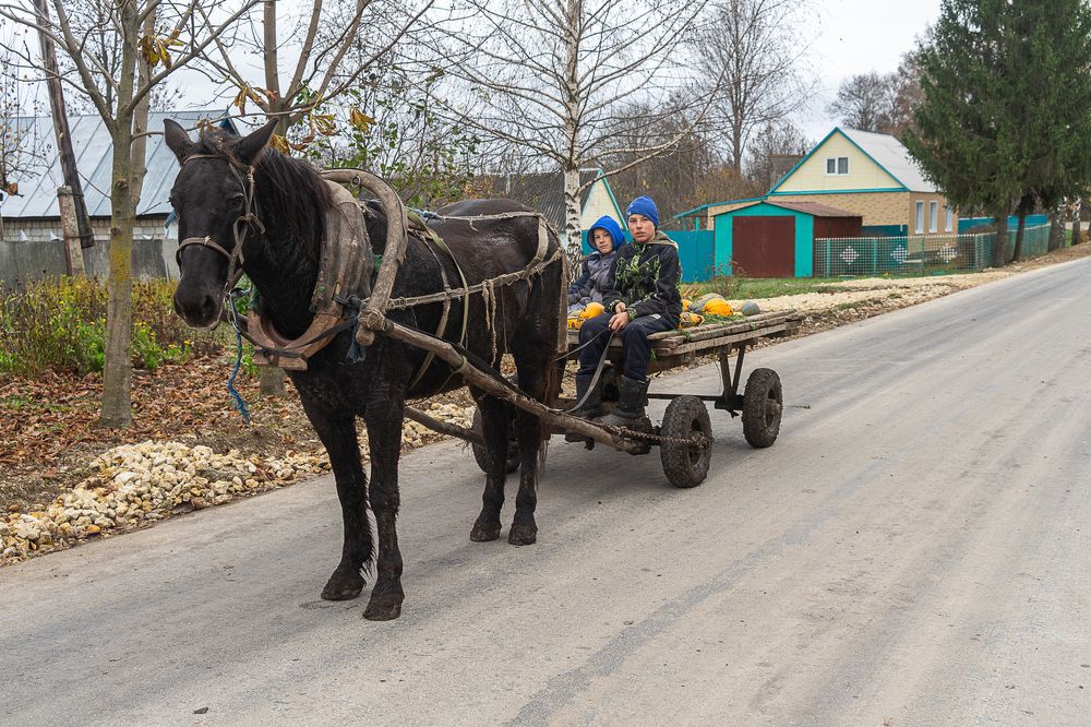 Фотография автора Николай Бологов