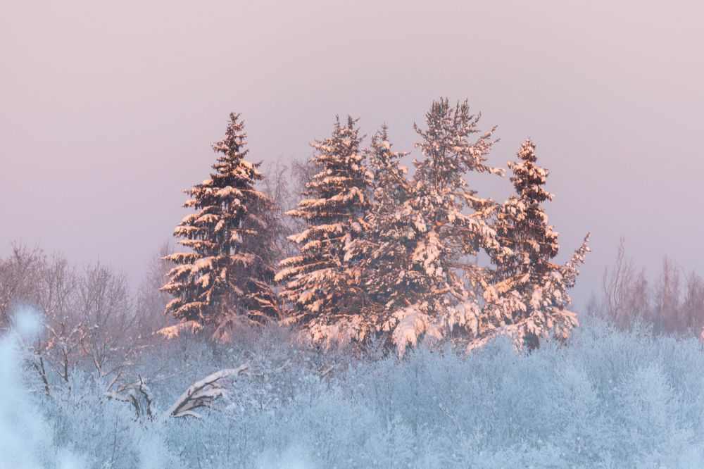 Photograph by Dmitriy Konstantinov