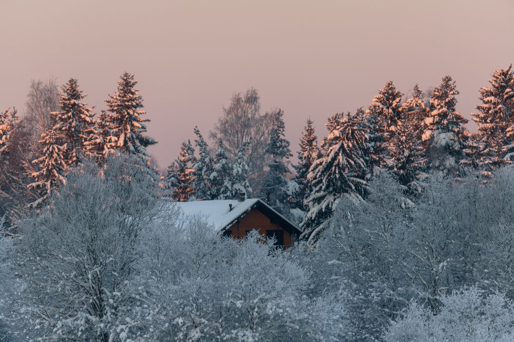 Photograph by Dmitriy Konstantinov