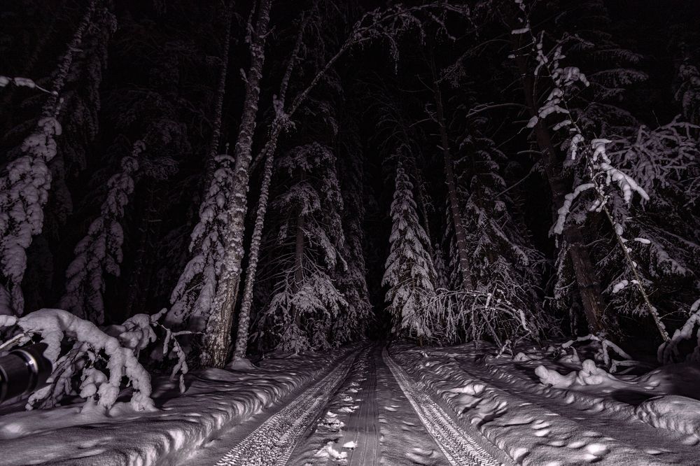 Photograph by Dmitriy Konstantinov