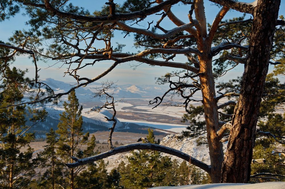 Фотография автора Андрей Ильков