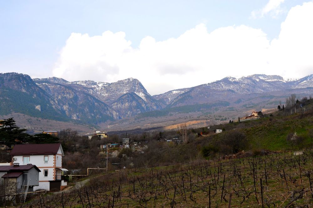 Photograph by Екатерина Шустова