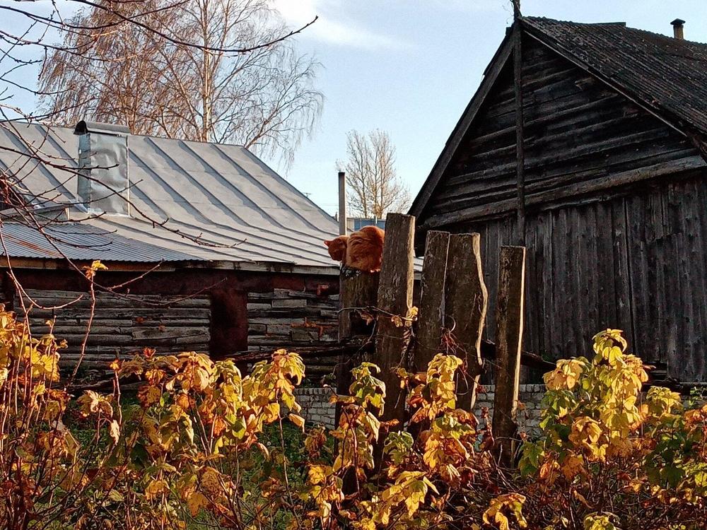 Photograph by Татьяна Комкова