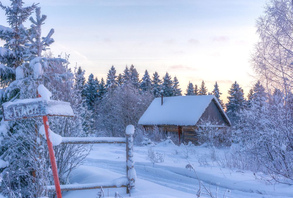 Photograph by Светлана Ващенко