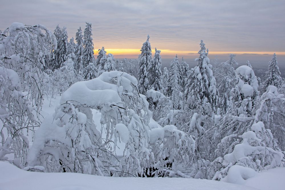 Photograph by Анастасия Северюхина