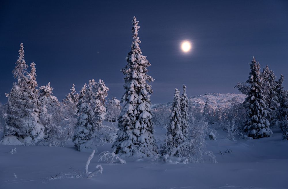 Photograph by Дмитрий Геращенко