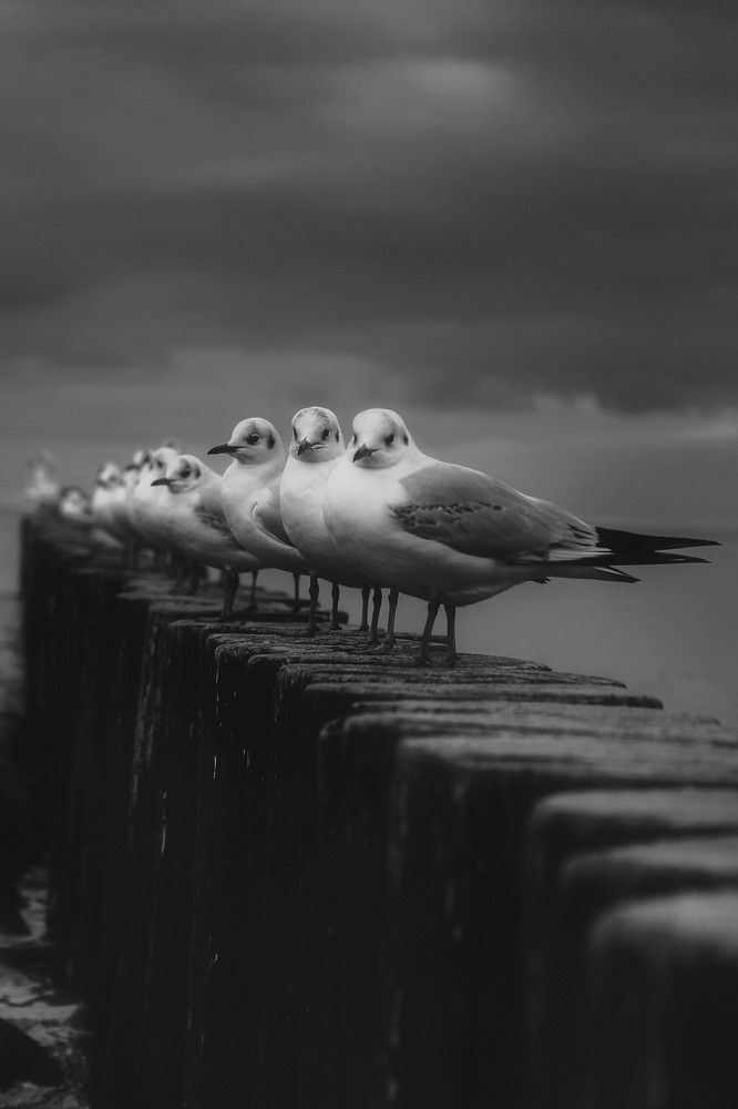 Photograph by Татьяна Максакова