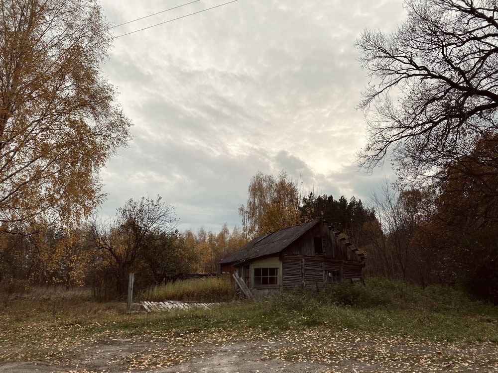 Photograph by Елена Гущина