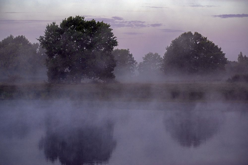 Фотография автора Андрей Гордиенко