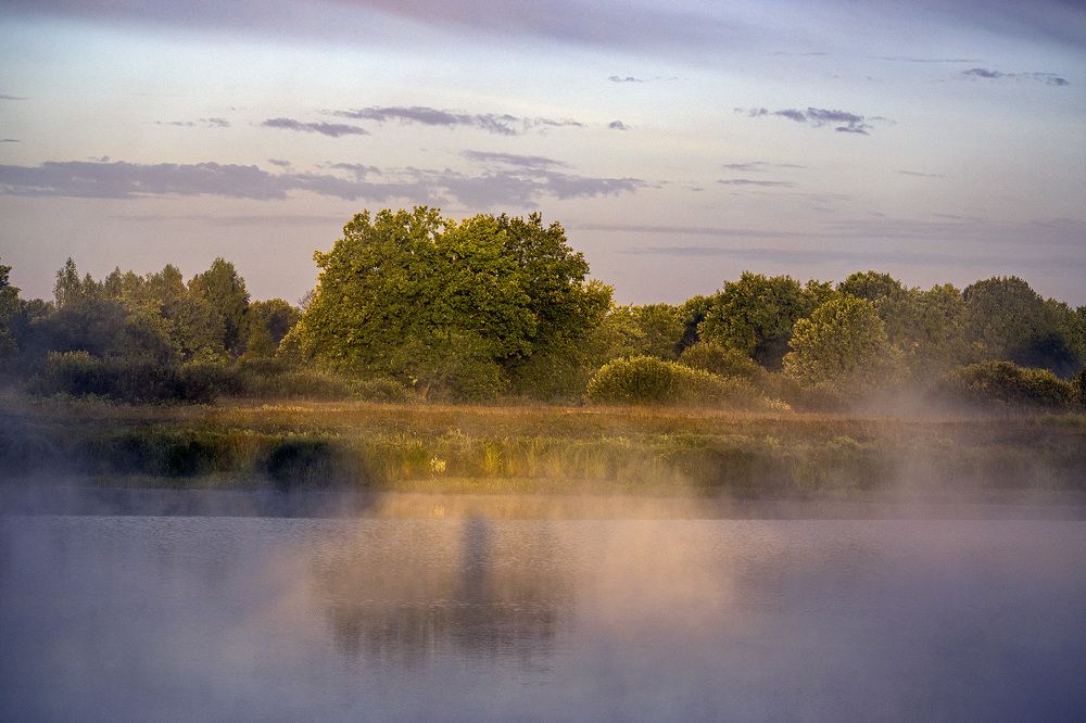 Фотография автора Андрей Гордиенко