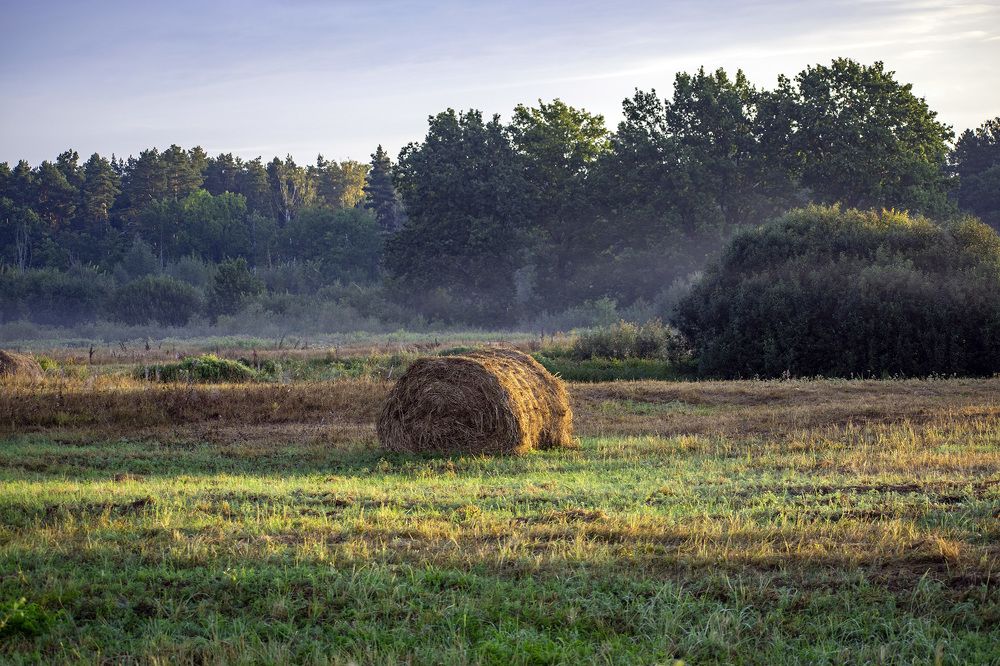 Фотография автора Андрей Гордиенко