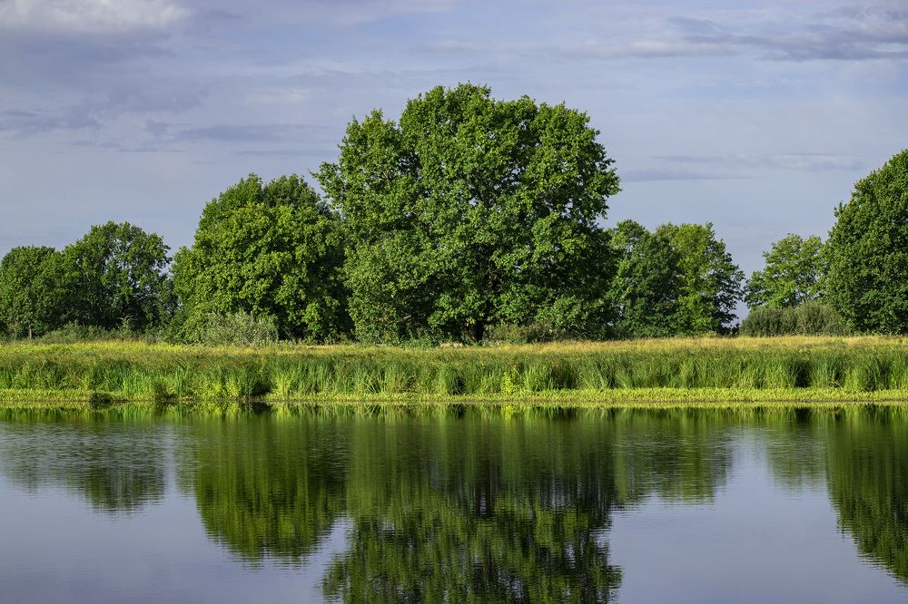 Фотография автора Андрей Гордиенко