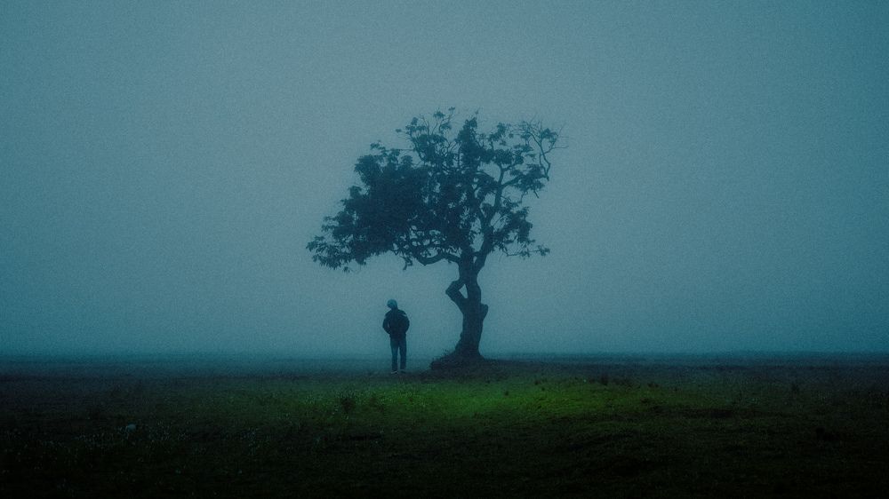 A Desolation Song