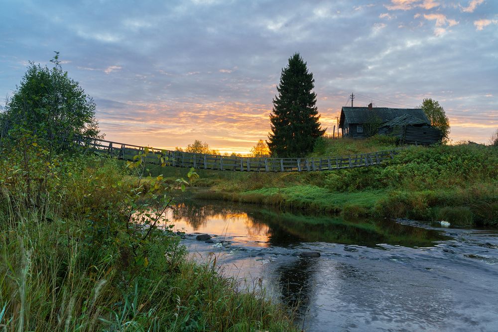 Photograph by Лариса Дука