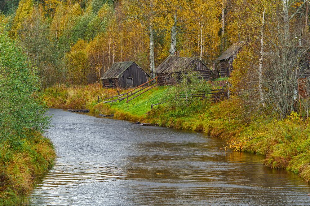 Photograph by Лариса Дука