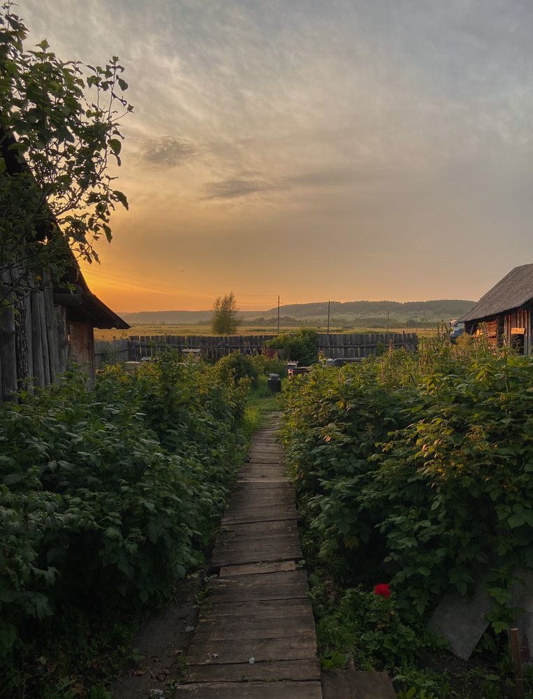 Photograph by Анастасия Сартакова