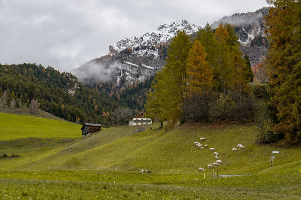 Photograph by Анастасия Сартакова