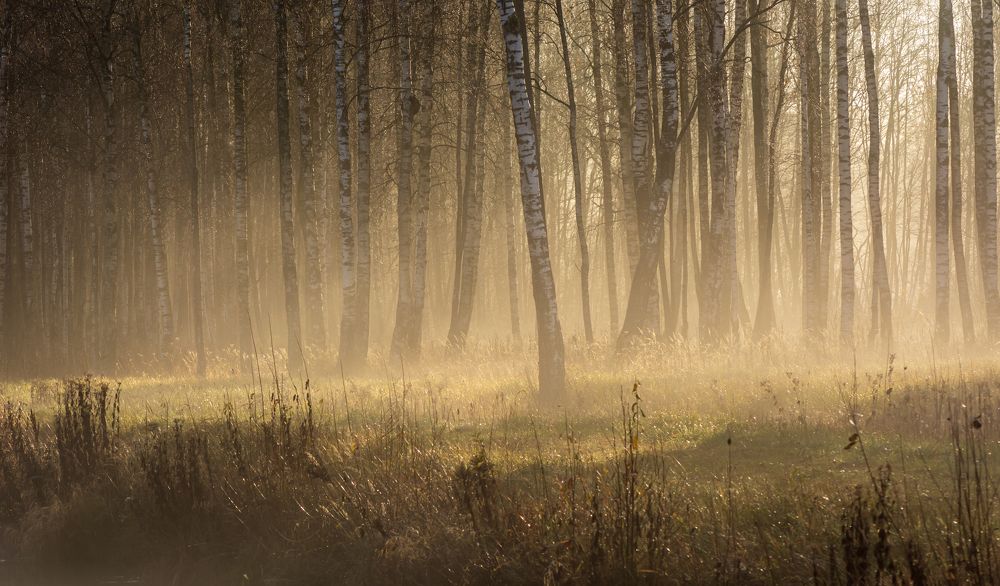 Photograph by Agita Leimane