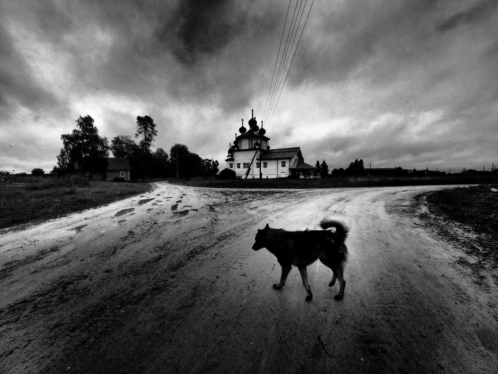 Photograph by Дмитрий Потапов