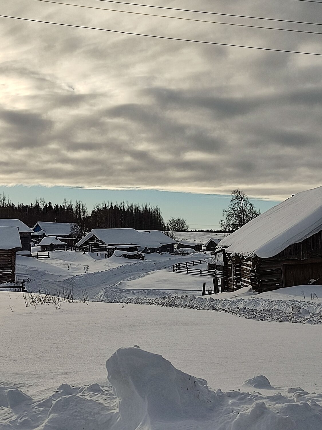 Photo #10144516