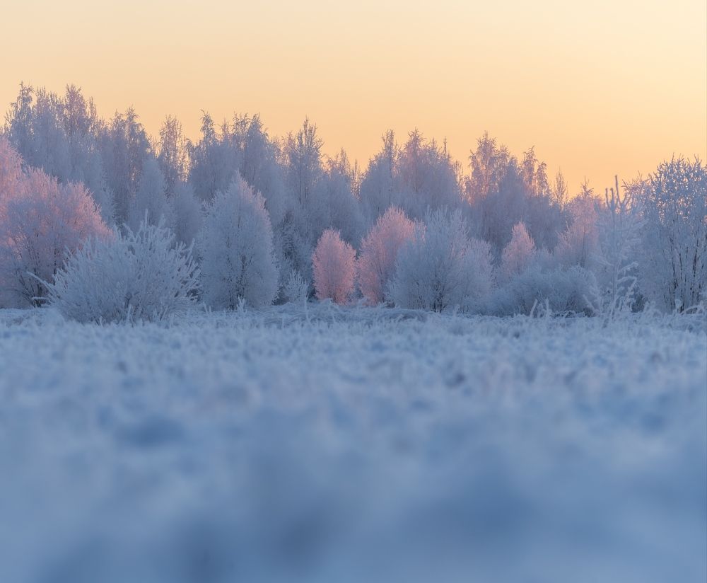 Photograph by Елена Хорохорина