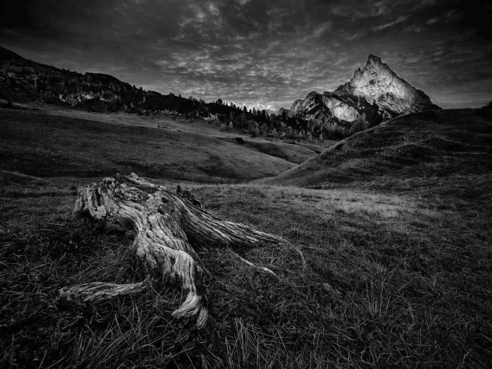 last of the mohicans