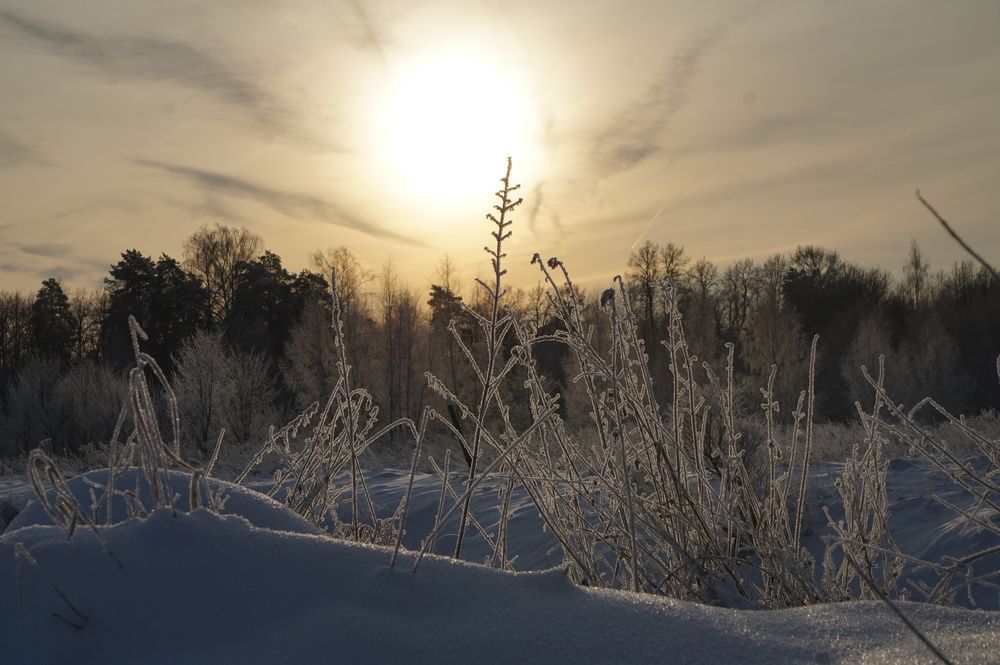 Photograph by Лена Максимкина