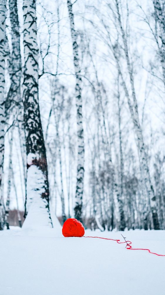 Photograph by Полина Каспирович