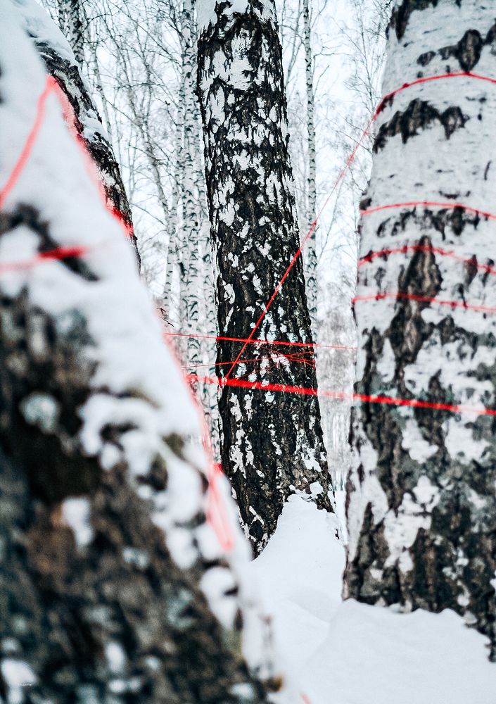 Переплетение