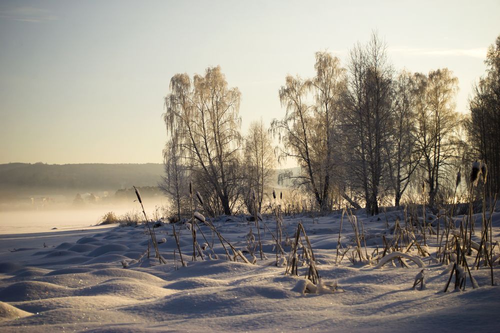 Photograph by Панюшкин Андрей