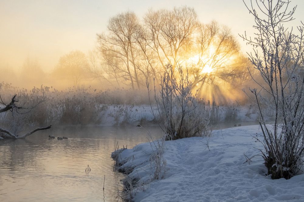 Photograph by Елена Маракулина