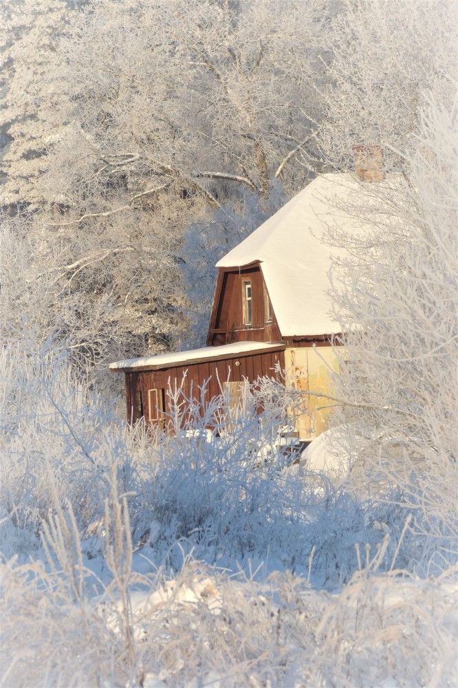 Photograph by Guzele Ivanova