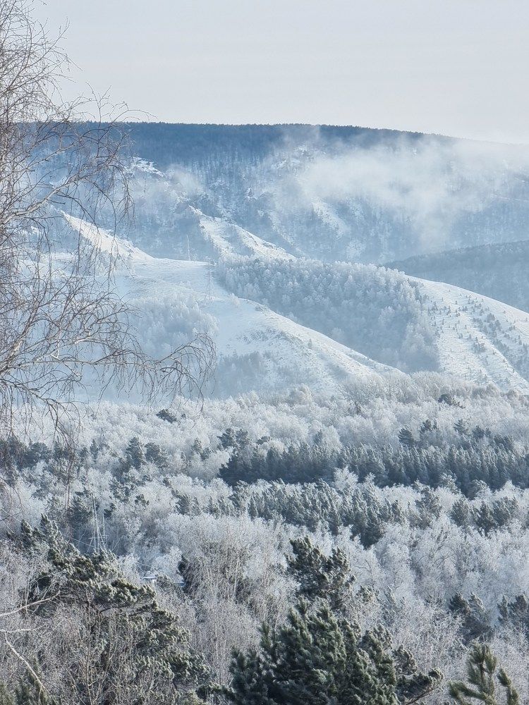 Photograph by Лилия