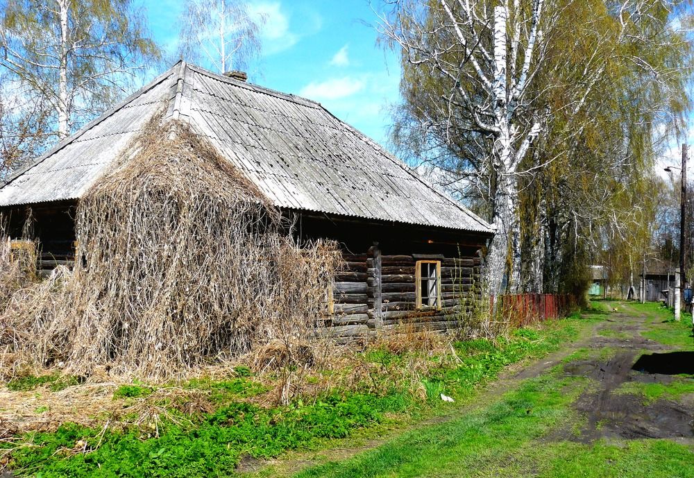 Photograph by натапов леонид