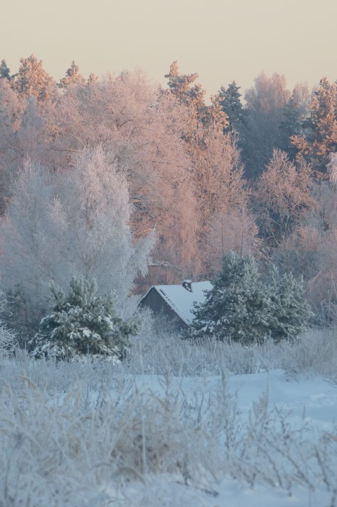 Photograph by Guzele Ivanova