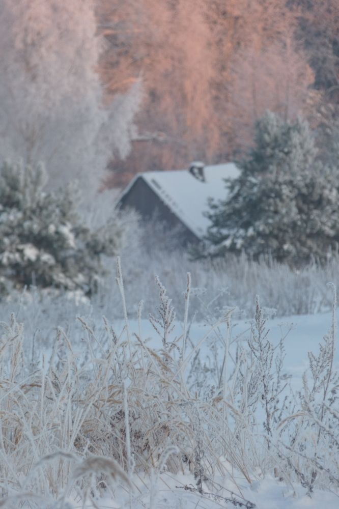 Photograph by Guzele Ivanova