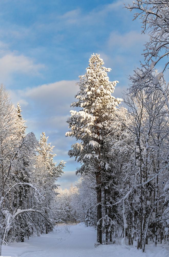 Фотография автора Наталья Василькова