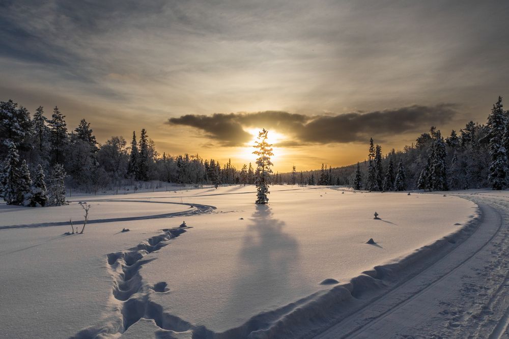 Фотография автора Наталья Василькова