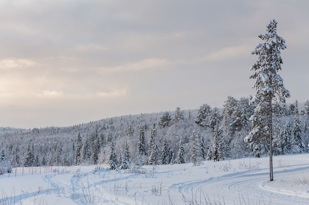 Фотография автора Наталья Василькова