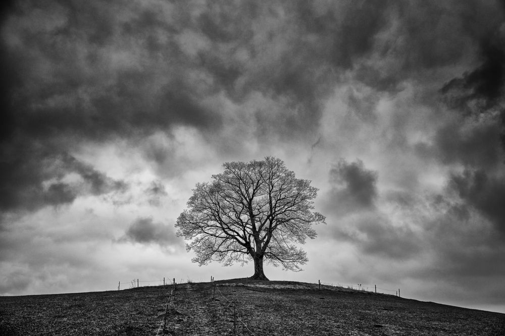 a loner forever and eve