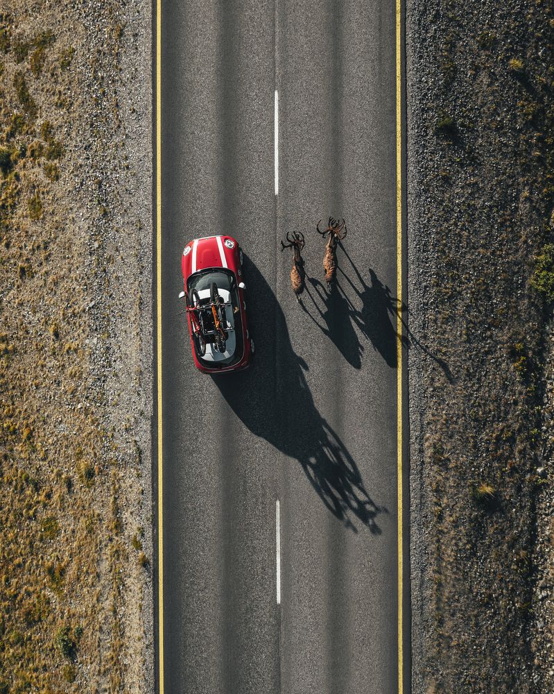 Фотография автора Yura Borschev