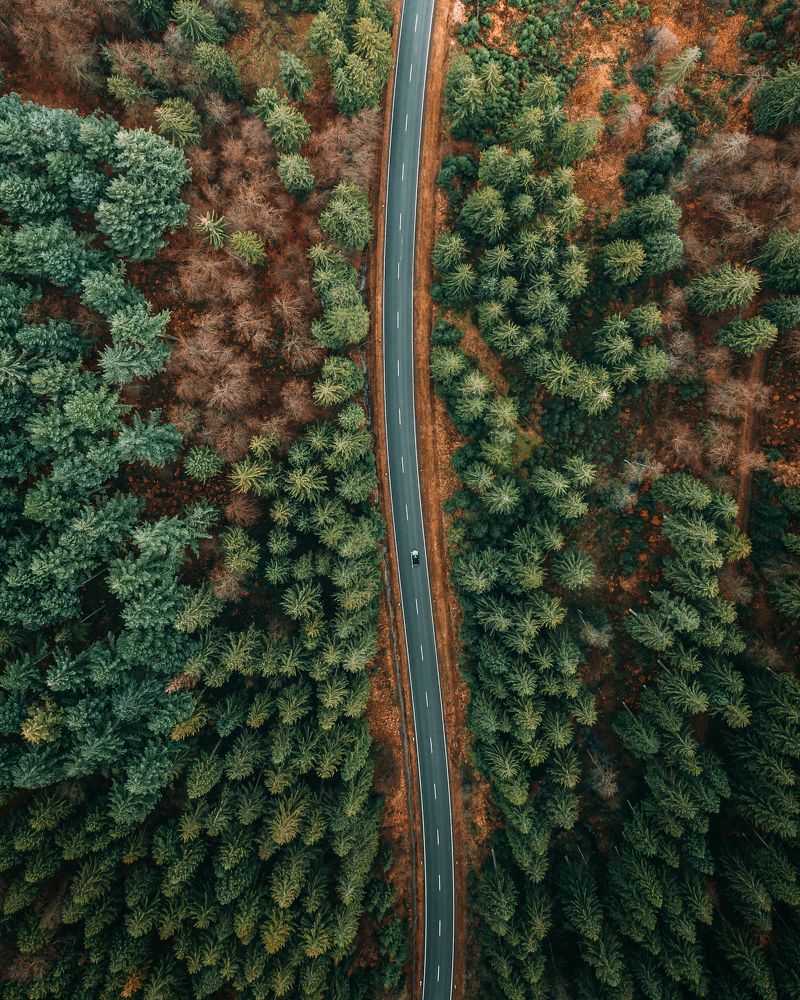 Фотография автора Yura Borschev