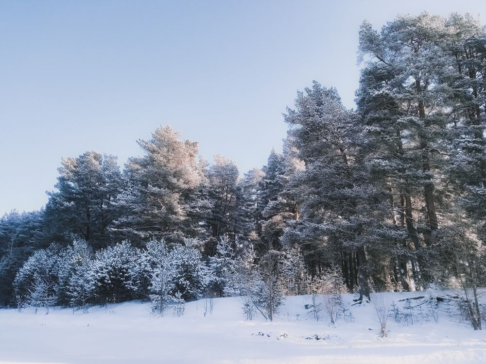 Photograph by Серафима Силина