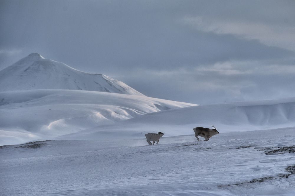 Photograph by Вячеслав Косенков