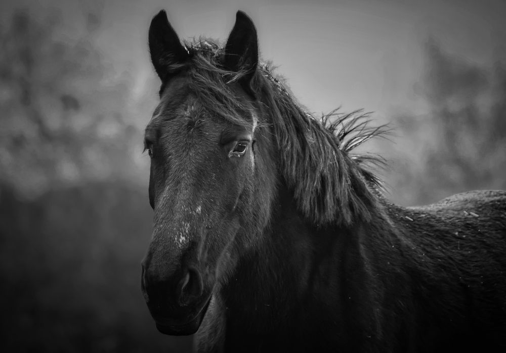 Photograph by Eva Wiedemann