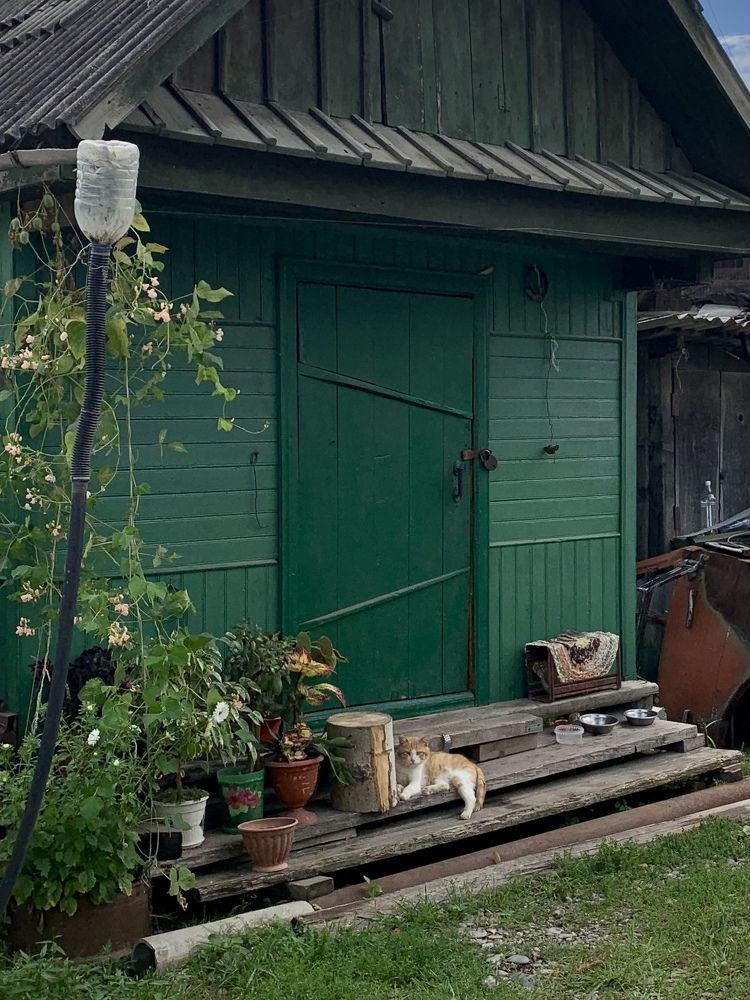 Photograph by Татьяна Семёнова