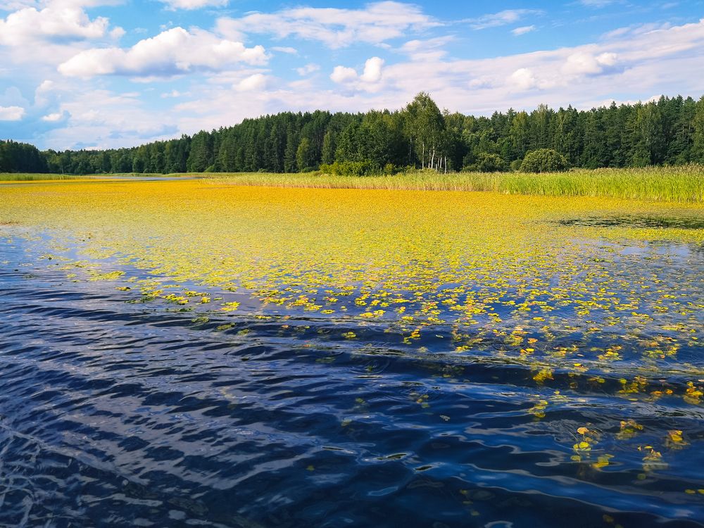 Photograph by Серафима Силина