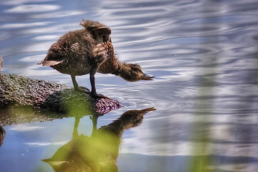 Photograph by Анастасия Астафьева